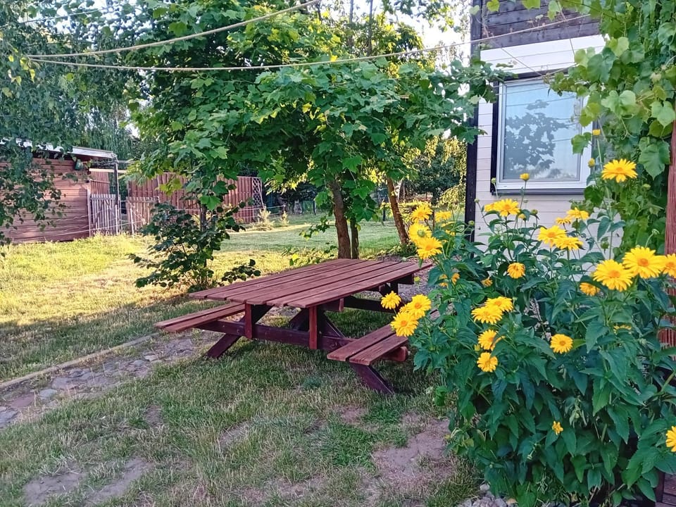 Spring, Day, Natural landscape, Garden, Garden view
