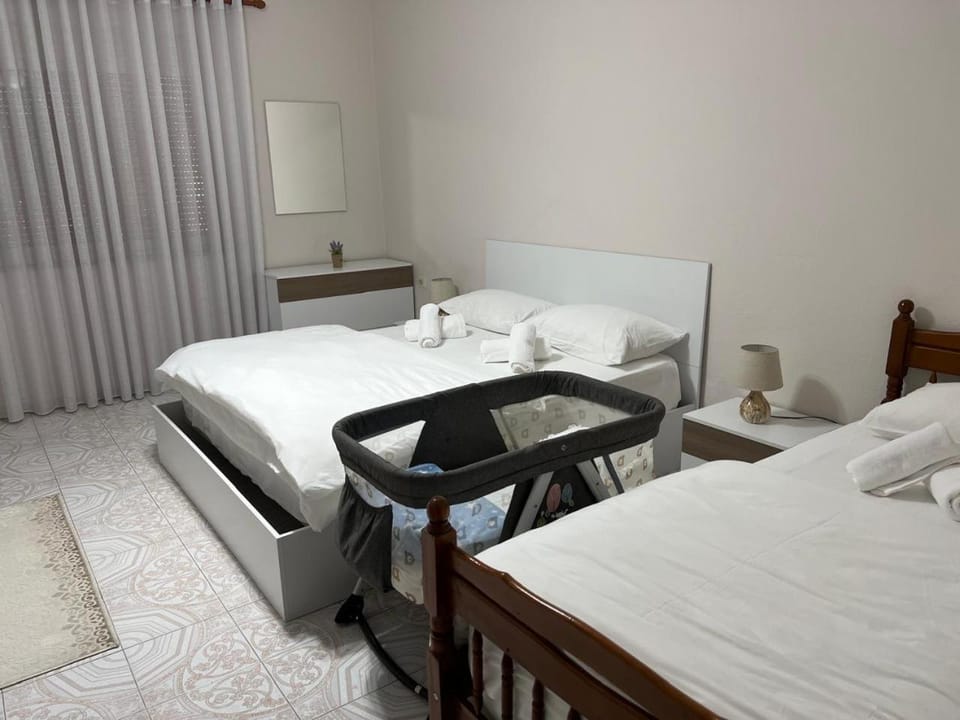 Home Shkodra Center Apartment in Montenegro