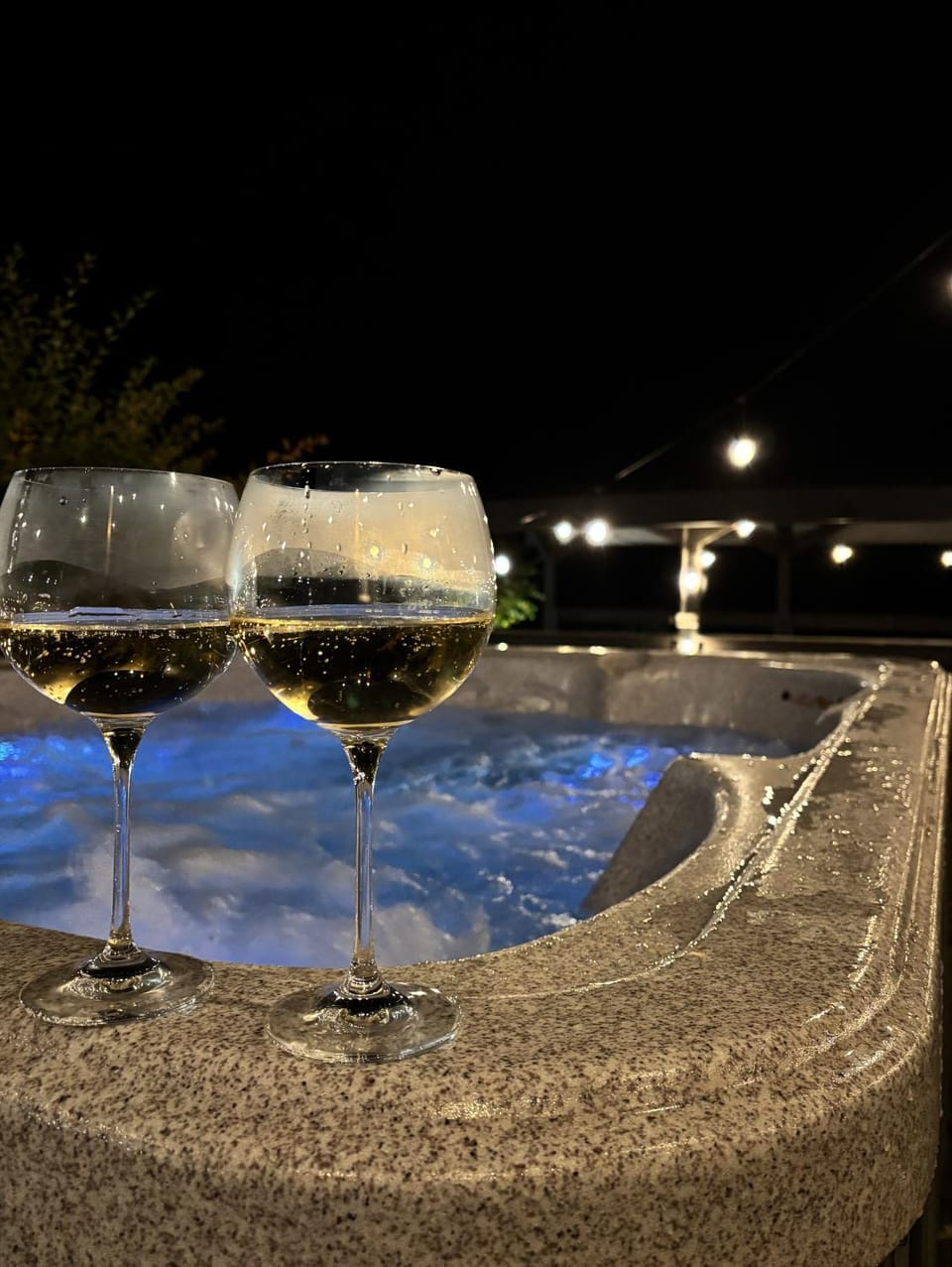 Natural landscape, Hot Tub, Drinks