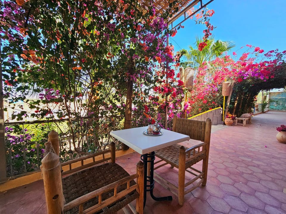 Patio, Natural landscape, Garden, View (from property/room), Garden view