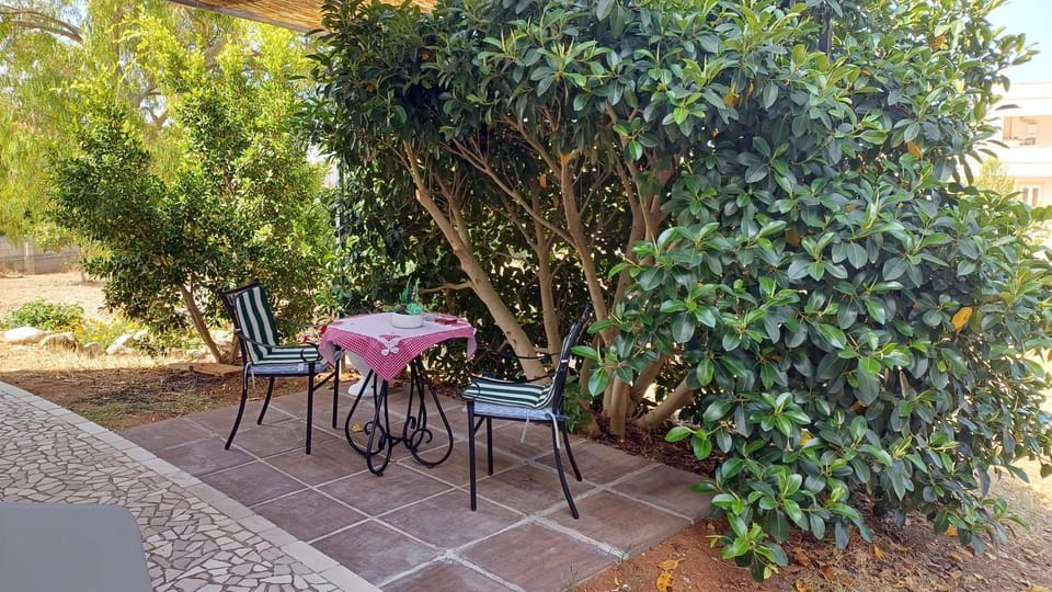 Patio, Garden, Garden view