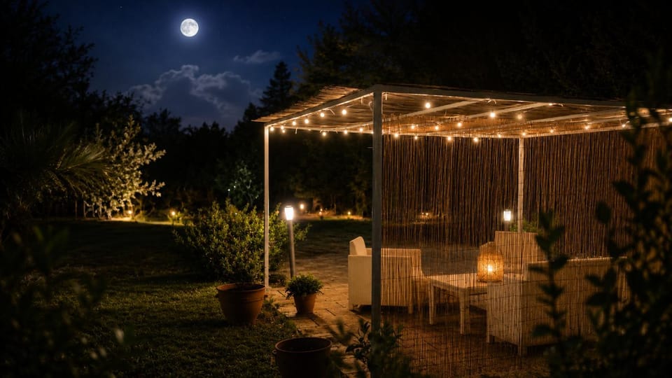 Night, Garden, Garden view