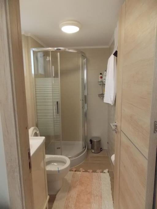 Alena home Apartment in Chania