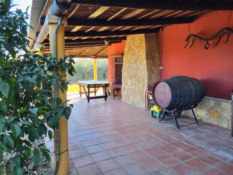 La Buganvilla, descanso entre olivares House in Andalusia