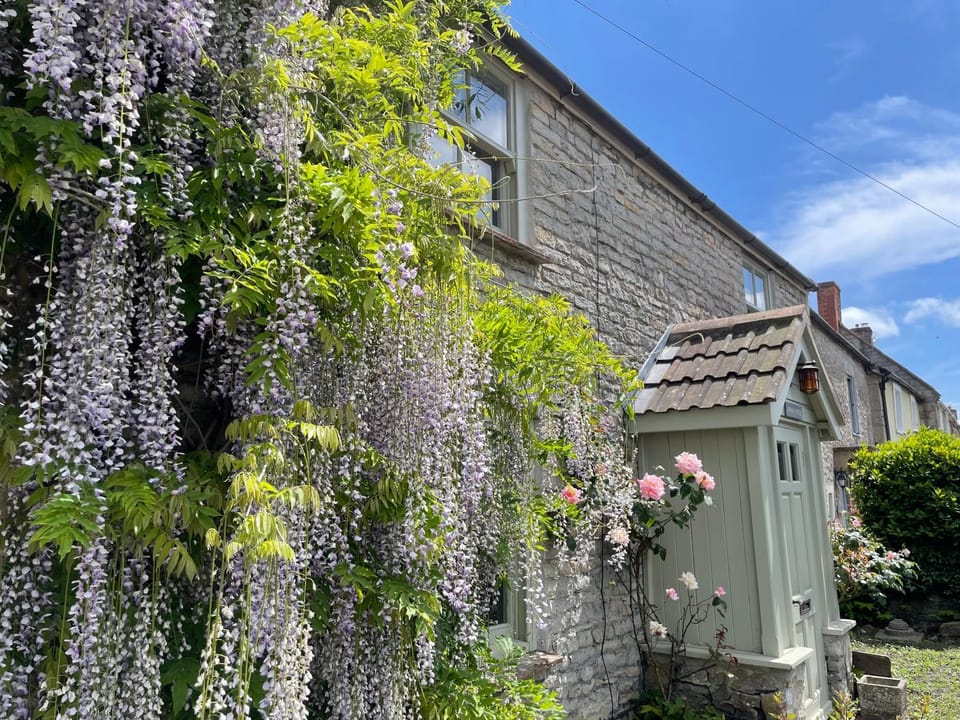 Property building, Spring