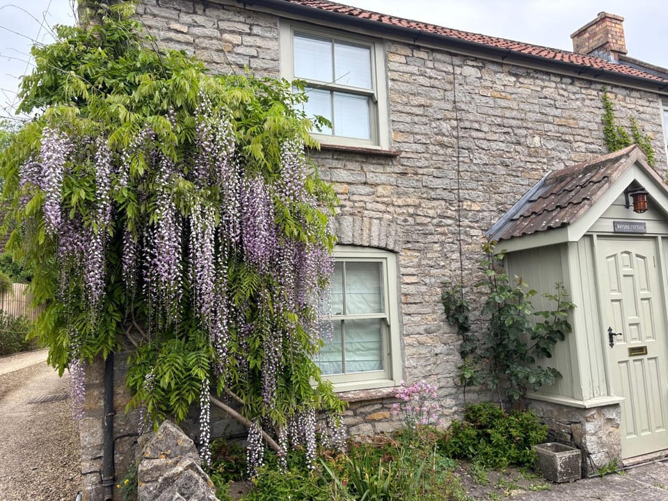 Property building, Spring, Day