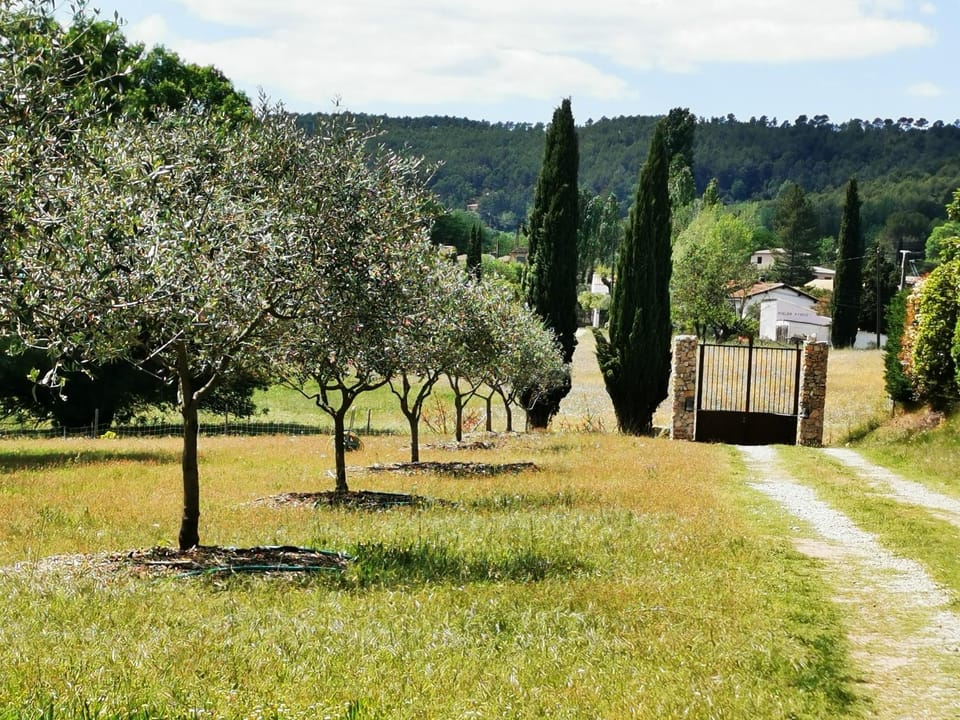 La Bastide du Capelier - Cabane Luxury tent in Salernes