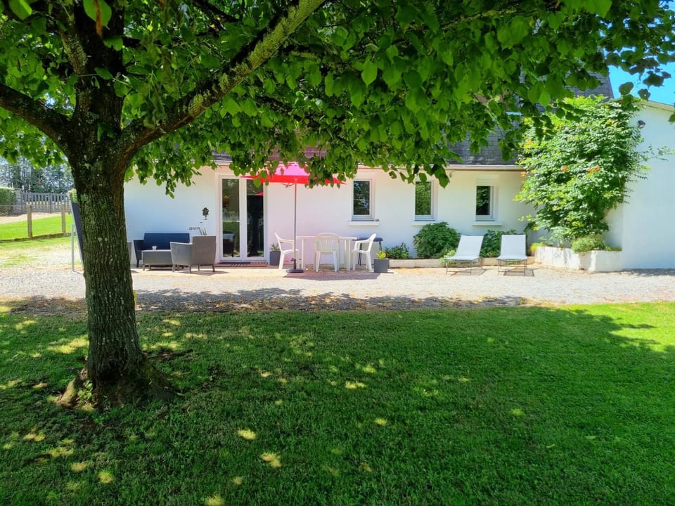 Garden, Balcony/Terrace