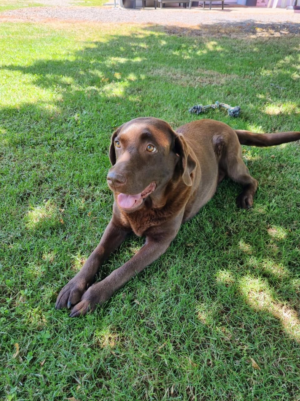 appartement "chez Luna" rez-de-jardin maison individuelle Apartment in Auvergne-Rhône-Alpes