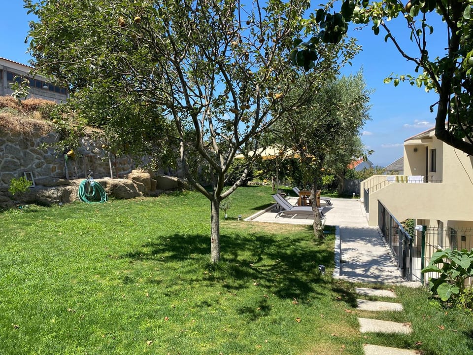Property building, Day, Garden