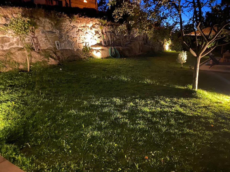 Night, Garden