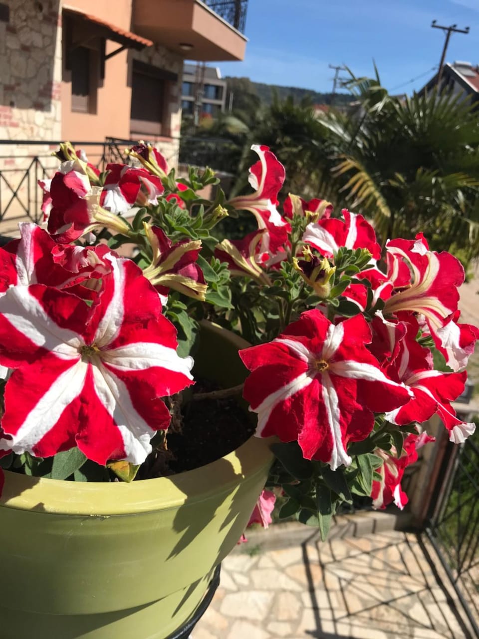 Nataliia-Nikiti Apartment in Nikiti