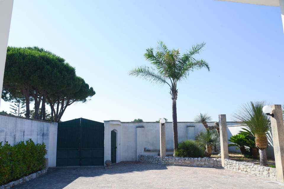 Property building, Garden view