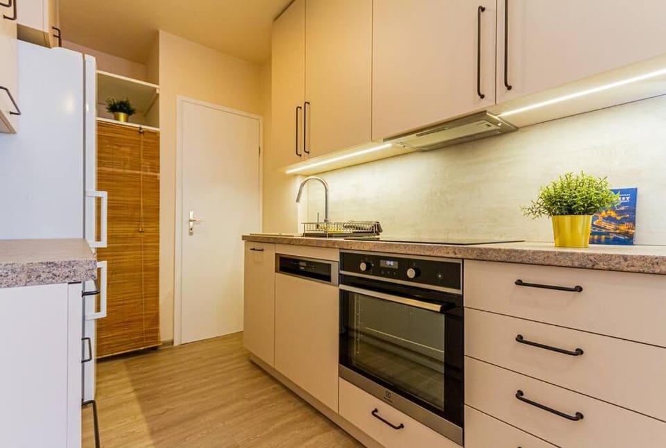 Roomy apartment 80sqm at city center FREE PARKING space, AC & balcony, Separate AC in all four rooms Apartment in Budapest