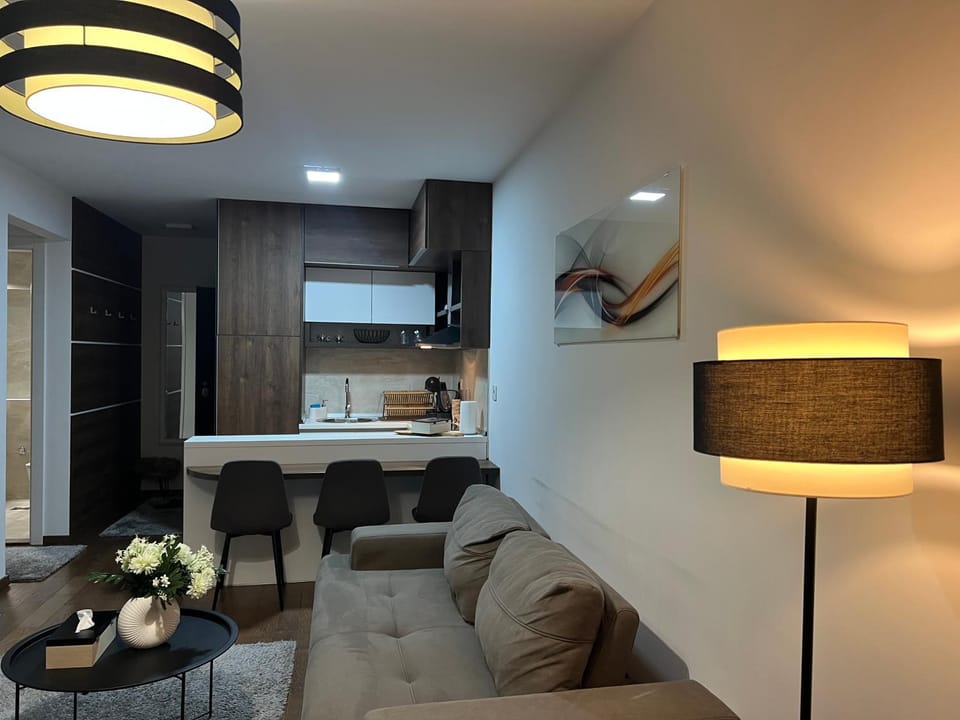 Living room, kitchen