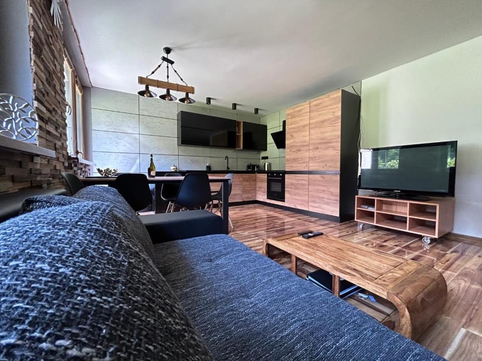 Communal lounge/ TV room, TV and multimedia, Kitchen or kitchenette, Living room, Seating area, Dining area