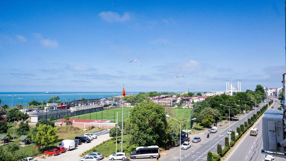 Natural landscape, Bird's eye view, City view, Sea view, Street view