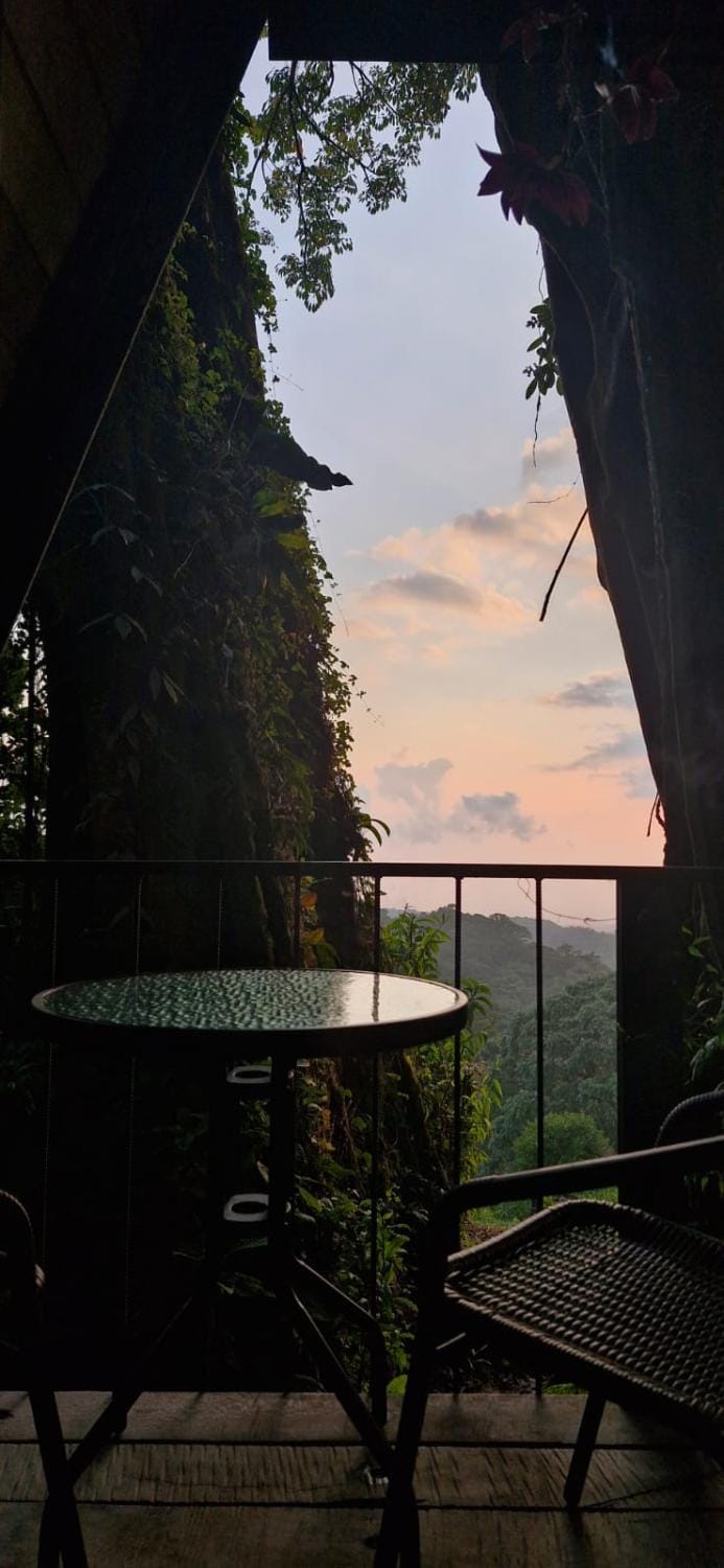 Casa del Árbol (A-Frame) - Ágape del Bosque Chalet in Monteverde