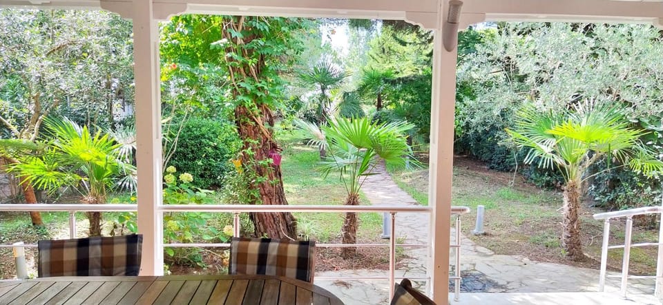 Patio, Day, Natural landscape, Garden, Garden, Balcony/Terrace, Garden view