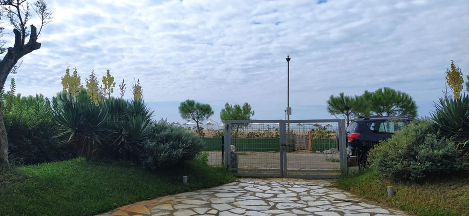 Natural landscape, Garden, Sea view