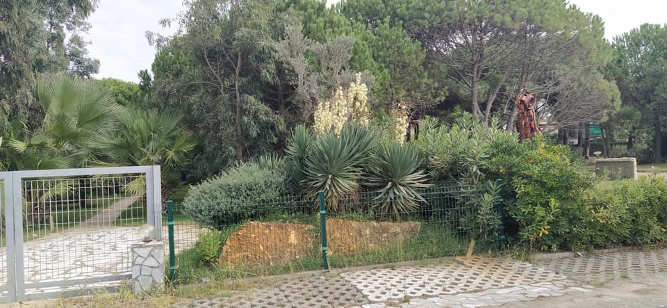 Natural landscape, Garden, Garden