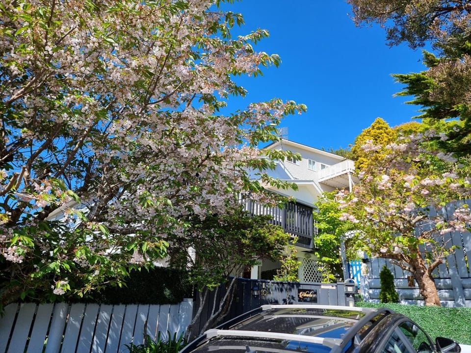 Property building, Garden