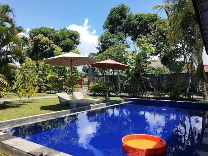 Garden view, Swimming pool