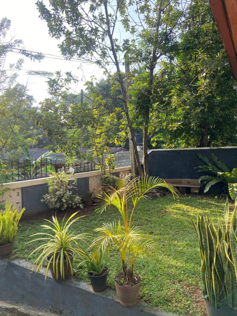 Property building, Garden, Garden view