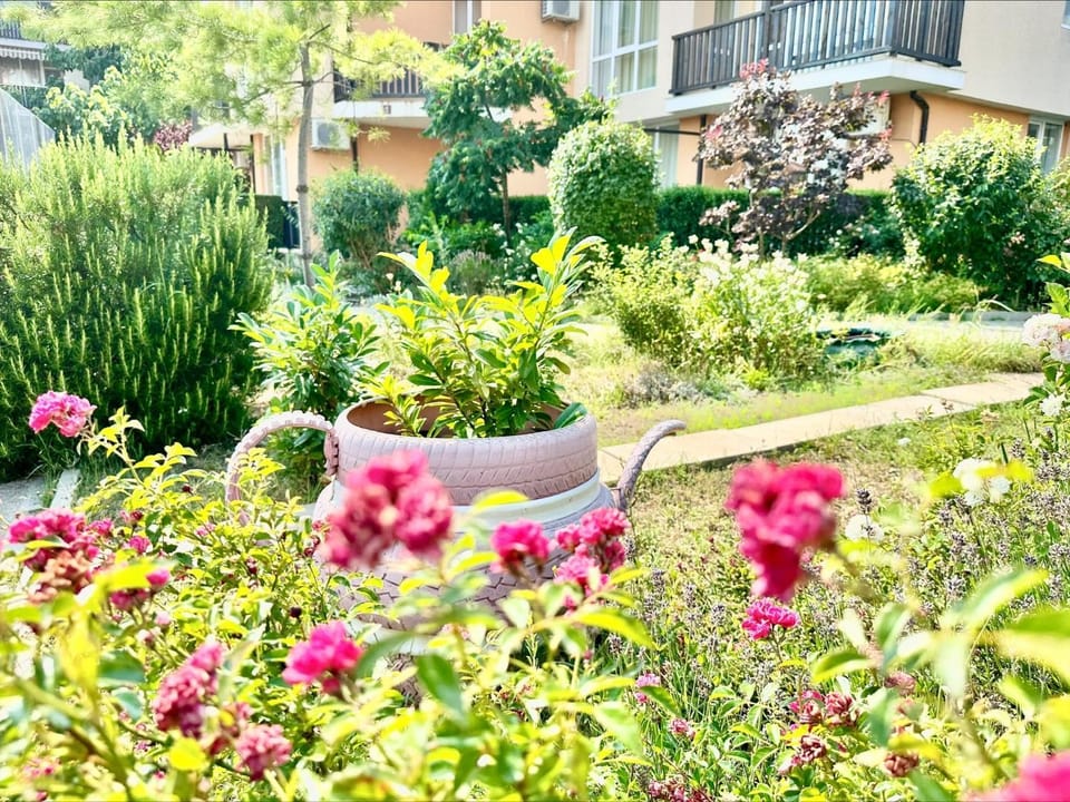Natural landscape, Garden, Garden view