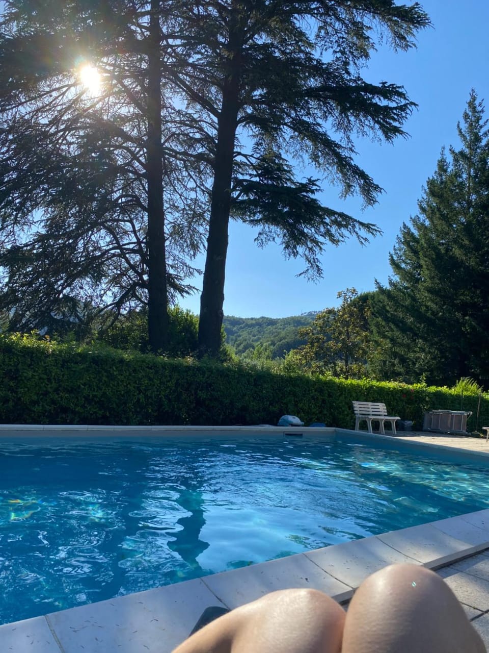 Natural landscape, Garden, Mountain view, Swimming pool, sunbed