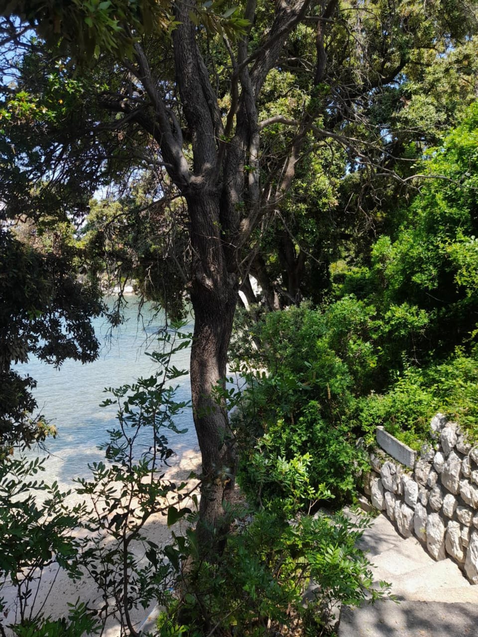 Leon Apartment in Supetarska Draga