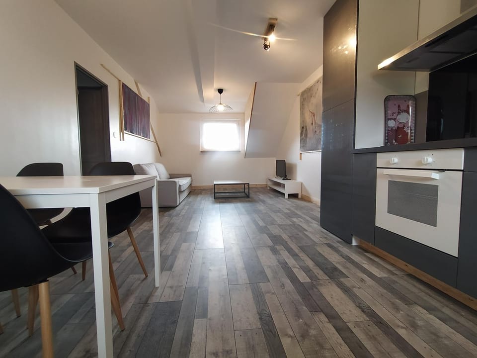Kitchen or kitchenette, Living room, Dining area