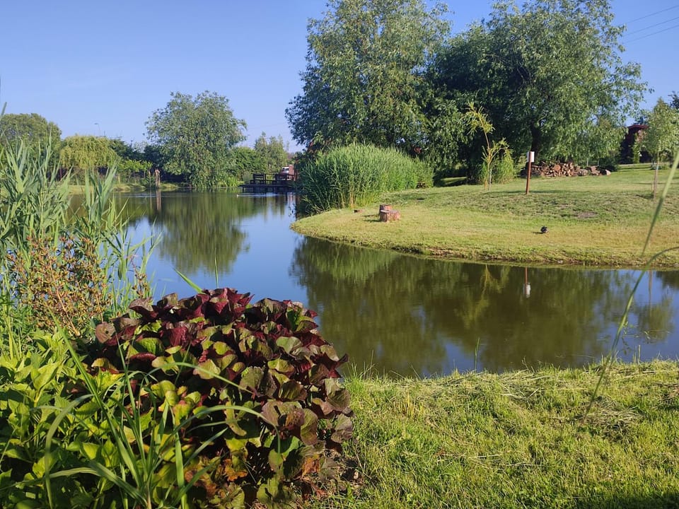Natural landscape, Garden