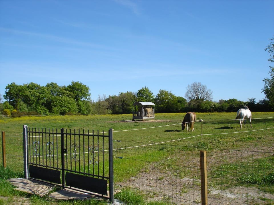 le Gïte de la Grande Bénatrie House in Pays de la Loire