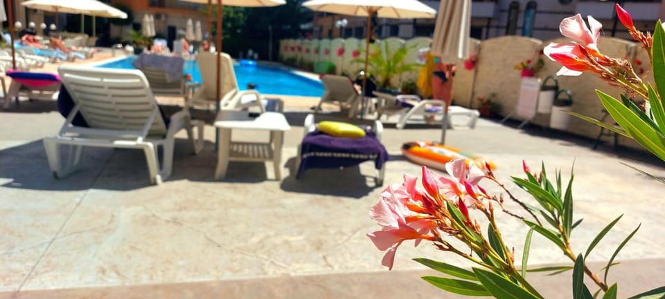 Pool view, Swimming pool