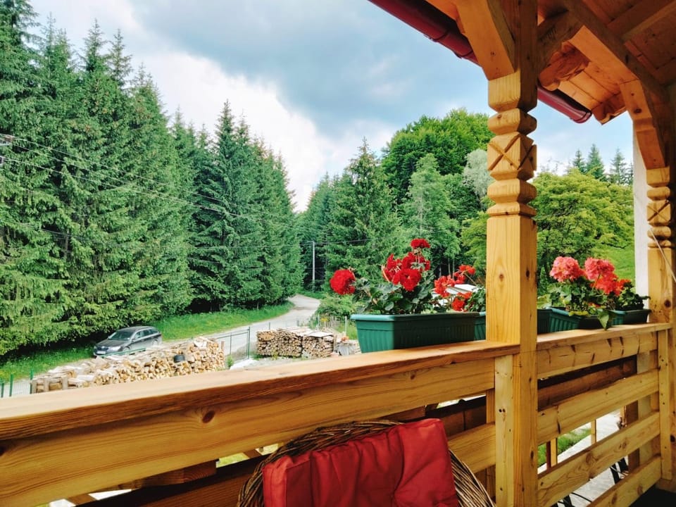 Natural landscape, View (from property/room), Garden view, Mountain view