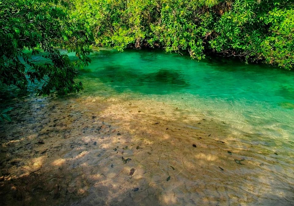 Natural landscape