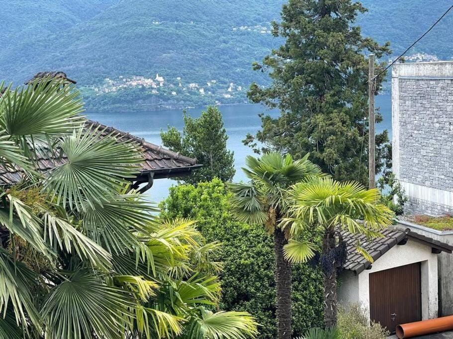 Rustico Porta Chalet in Ascona