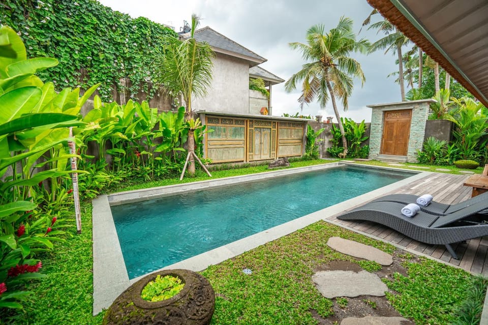 Garden, Pool view, Swimming pool, Swimming pool, sunbed