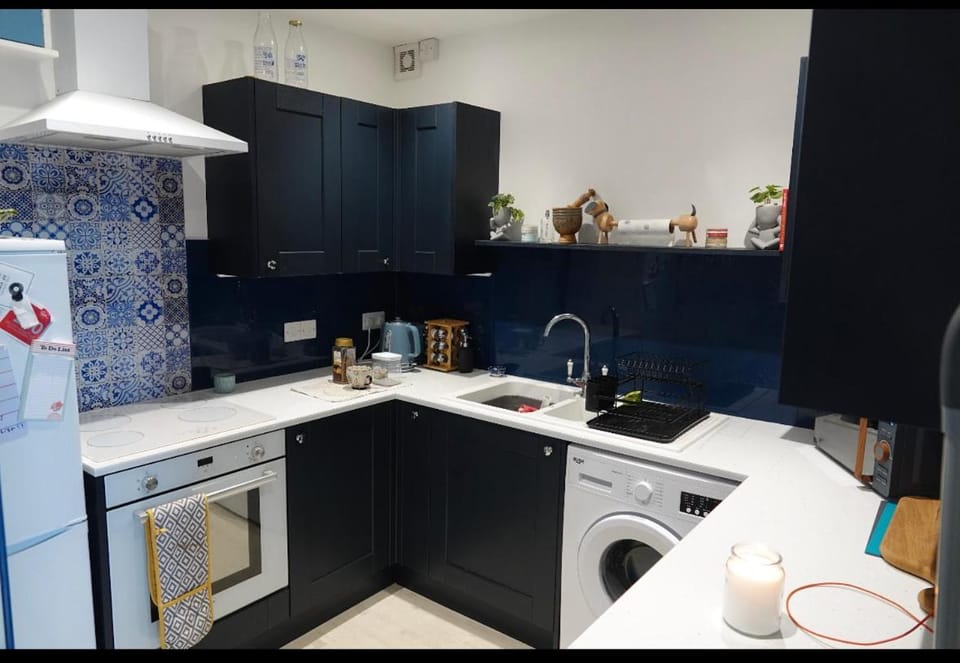 Kitchen or kitchenette, minibar, pet friendly, stove, washing machine