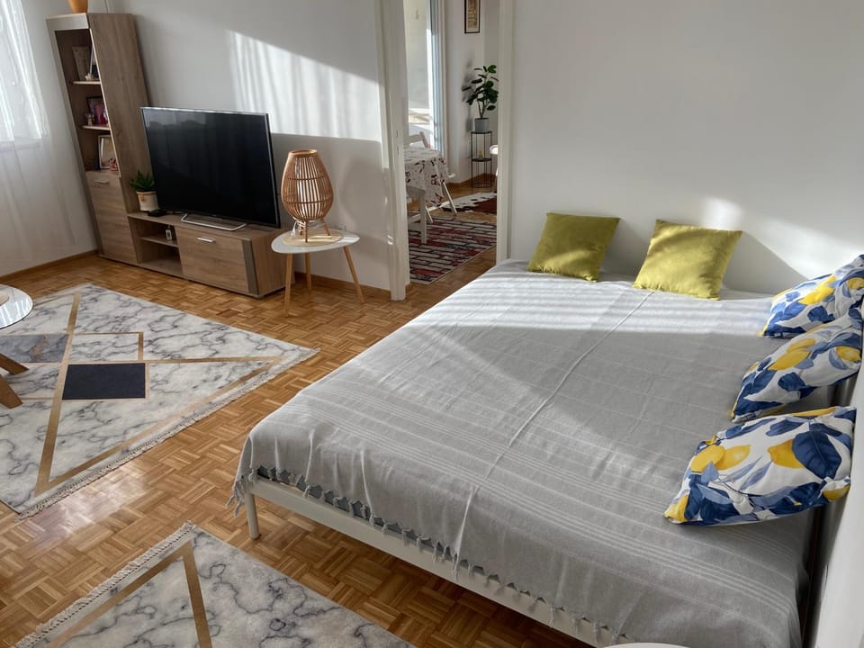 Arena 011 Apartment in Belgrade