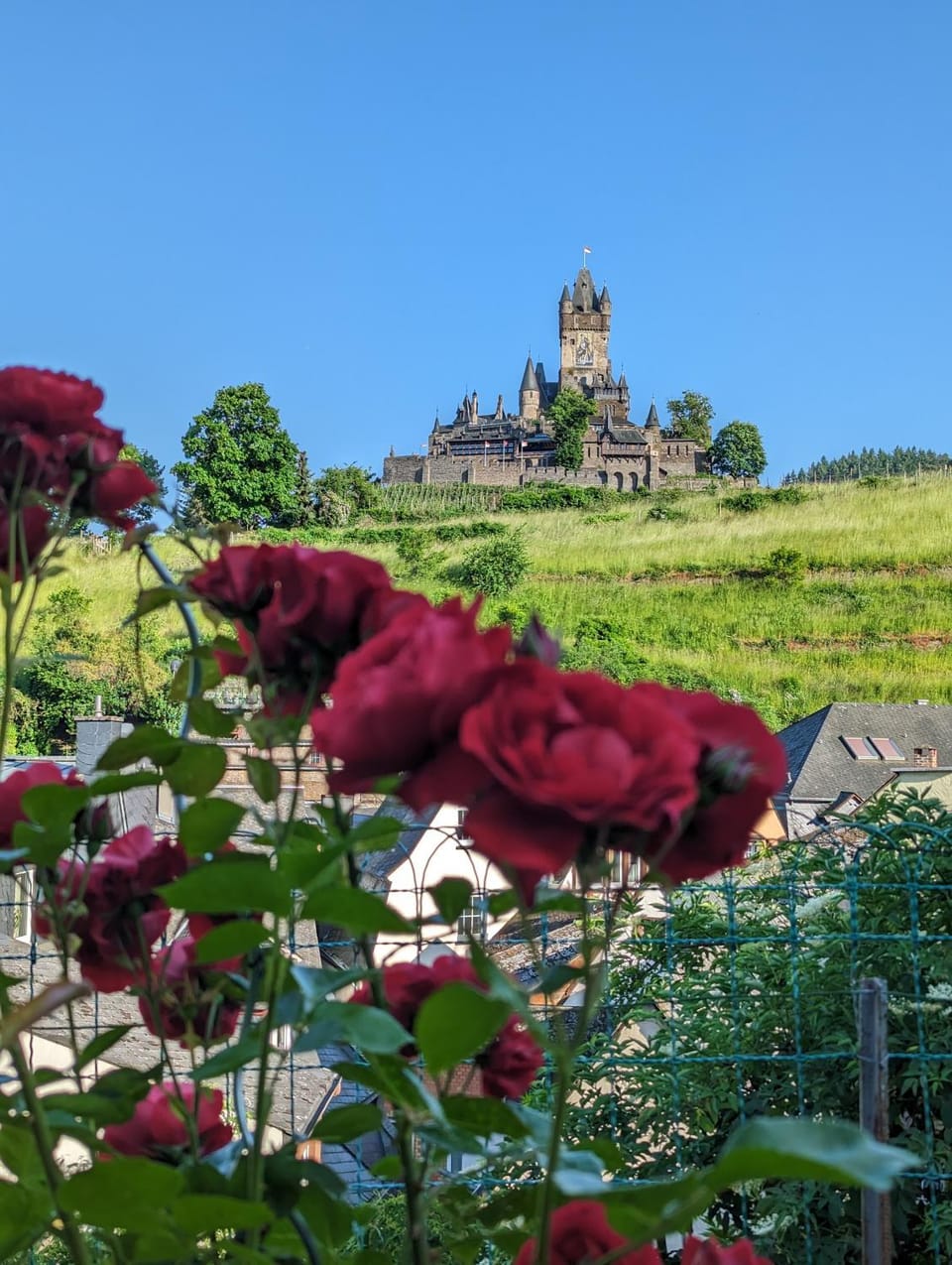 Nearby landmark, Natural landscape, Garden, Garden view, Landmark view