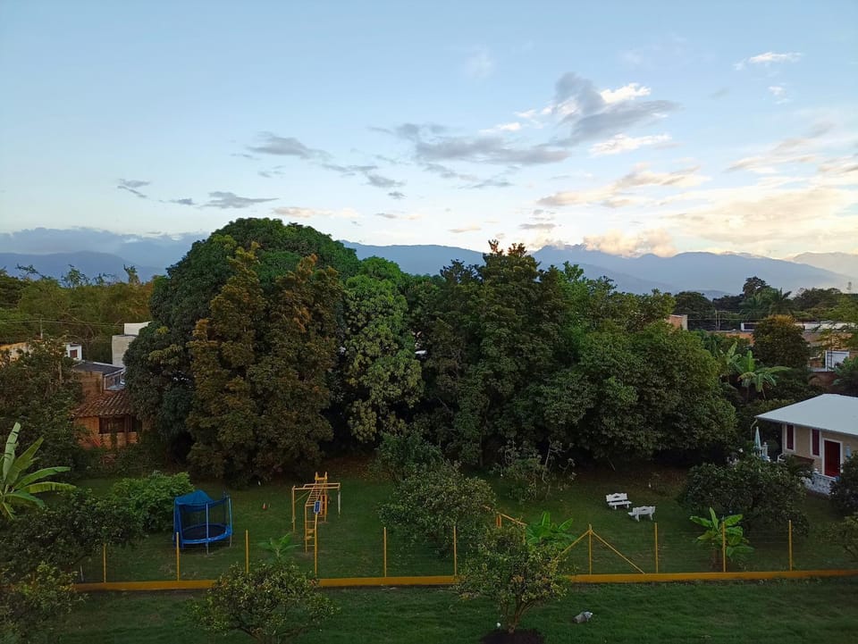 View (from property/room)