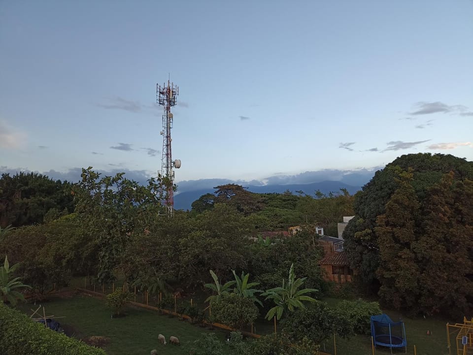 City view