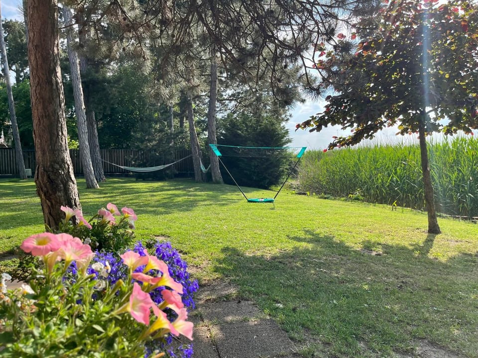Day, Garden view
