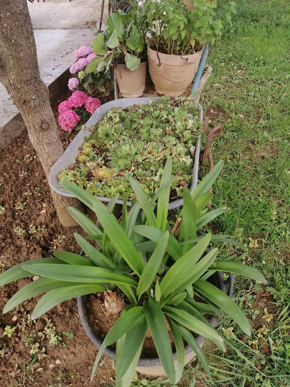 Garden, Garden view