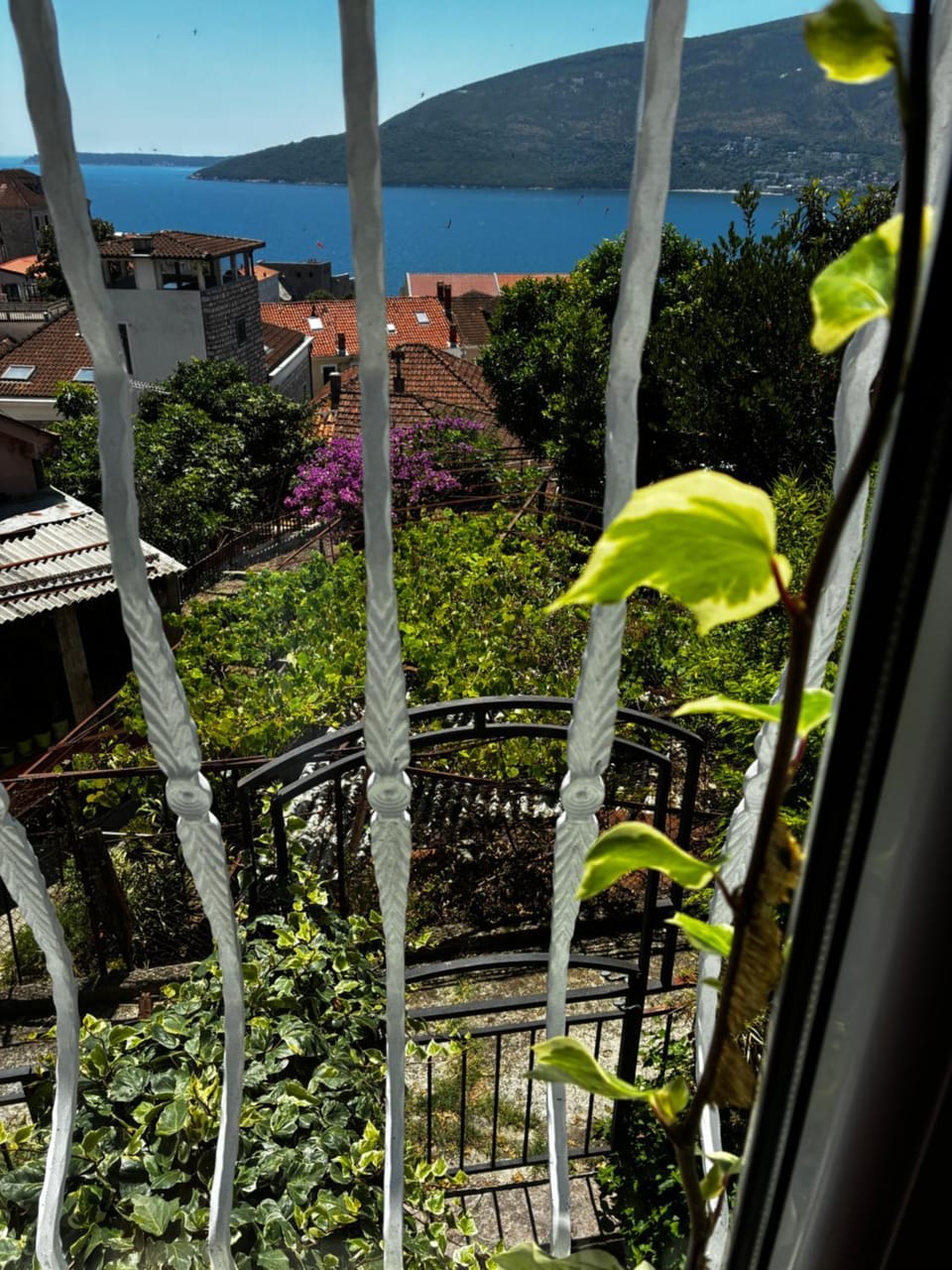 View (from property/room)