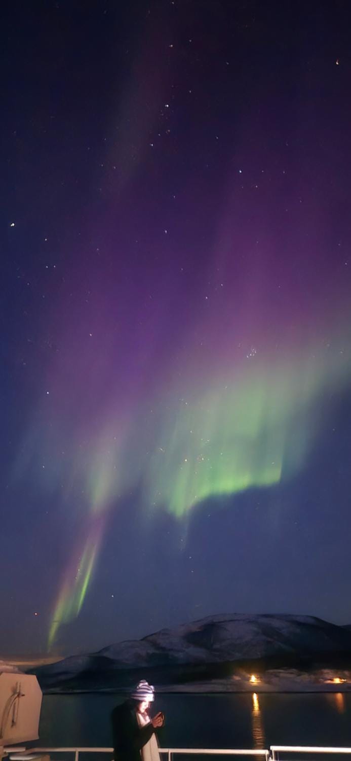Senjavista, near nature, sea and mighty mountains House in Nordland, Norway