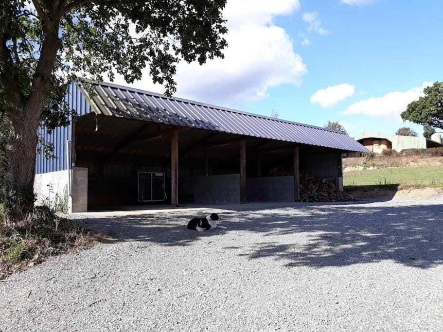 Gite TY KERMORZU House in Brittany