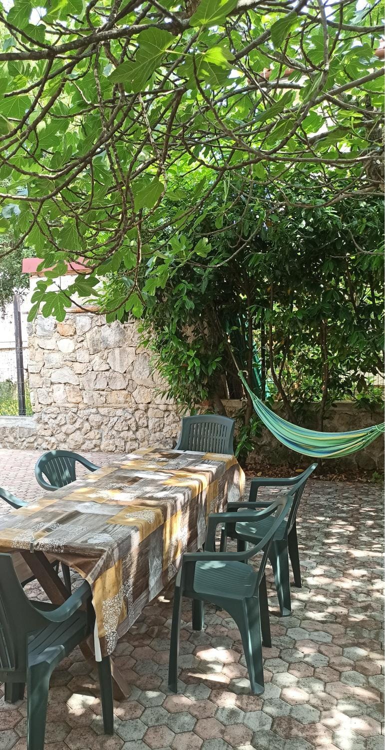 Garden, Seating area, Garden view